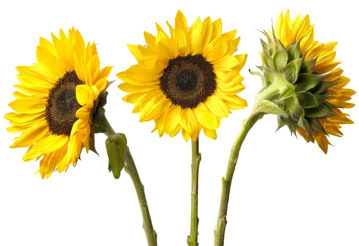 中年失业无所事事,中年失业了可以做什么工作