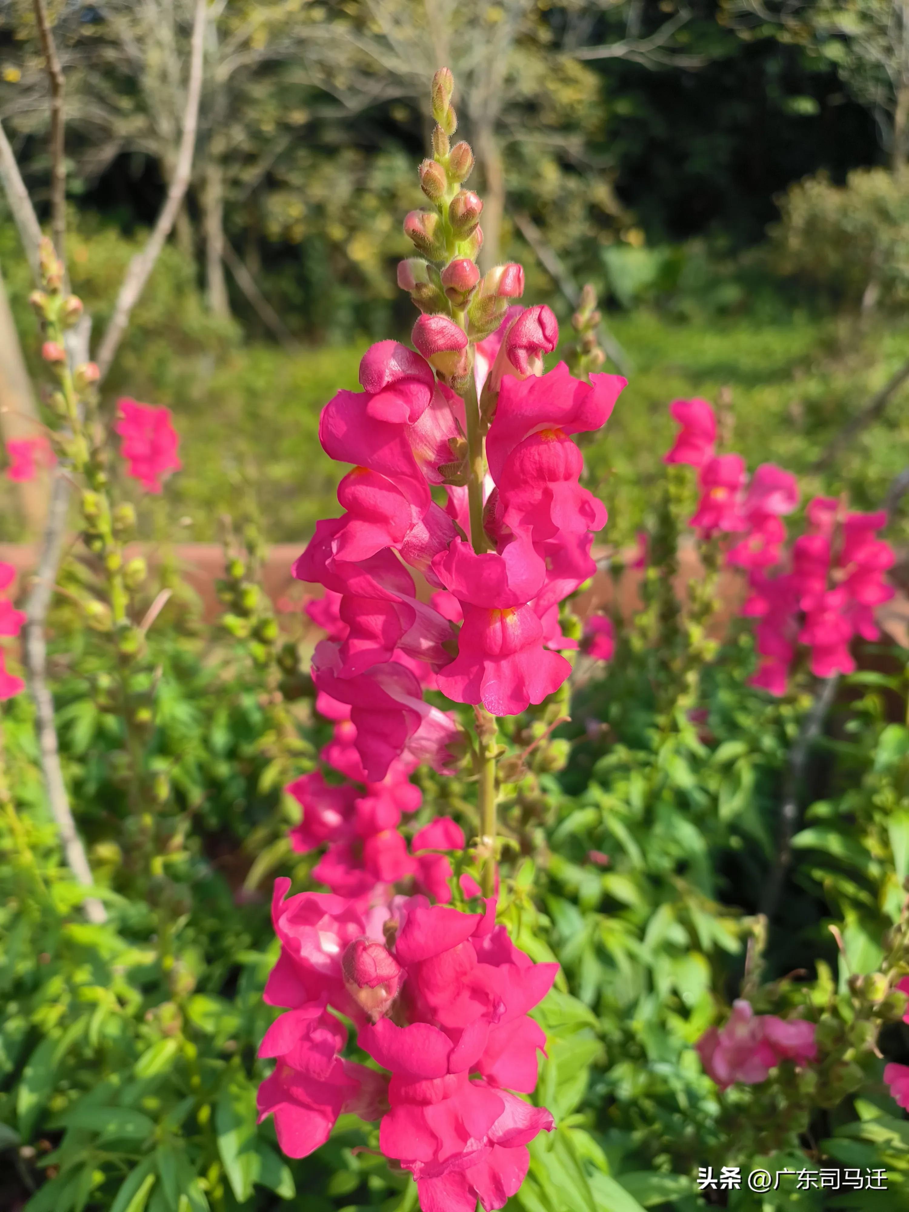 好玩的中山公园,中山公园这儿真美