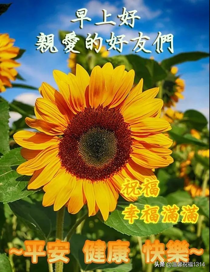 5月24号早上祝福语,5月24号祝福语