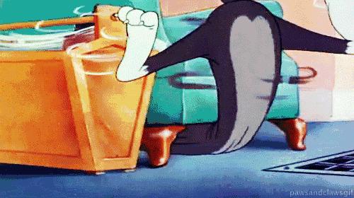 家猫怎样选才是好猫,如何挑选一只性格好长得好看的猫