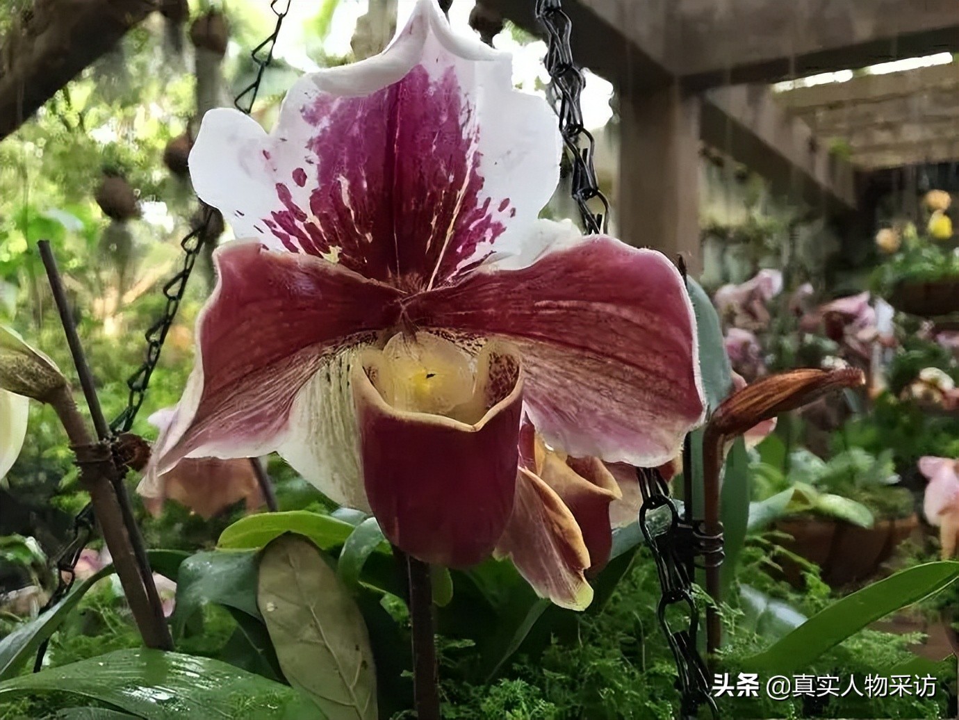 博士冷门专业,中科院冷门专业