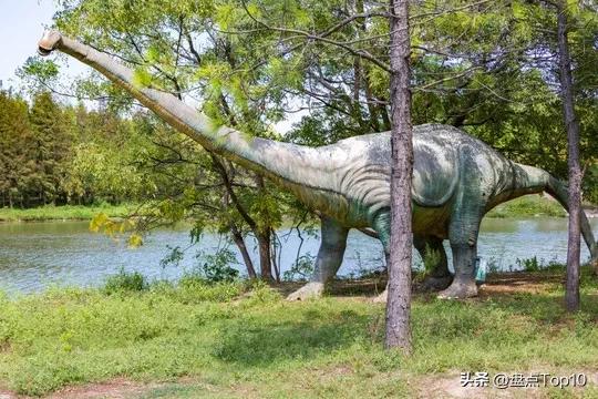 体型最大的十种肉食恐龙,十大食肉恐龙体型排名