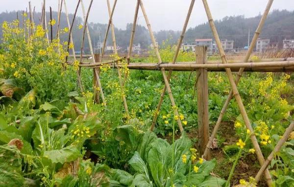 中年失业后，我去做过洗车工，说说我的真实感受:小生意也不好做