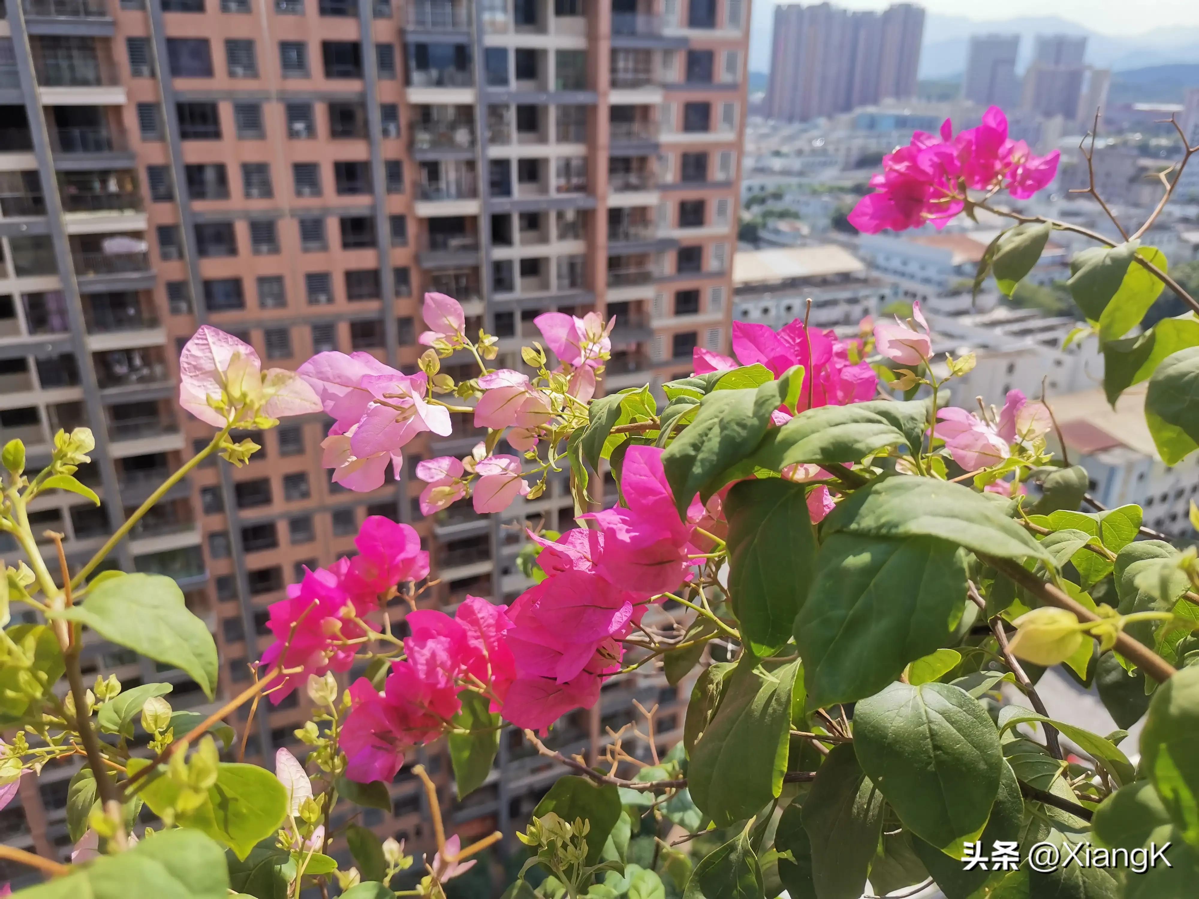 成语接龙小孩玩的,所有成语接龙游戏大全集