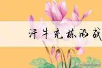 一天学一个成语怎么说,成语大全汗牛充栋