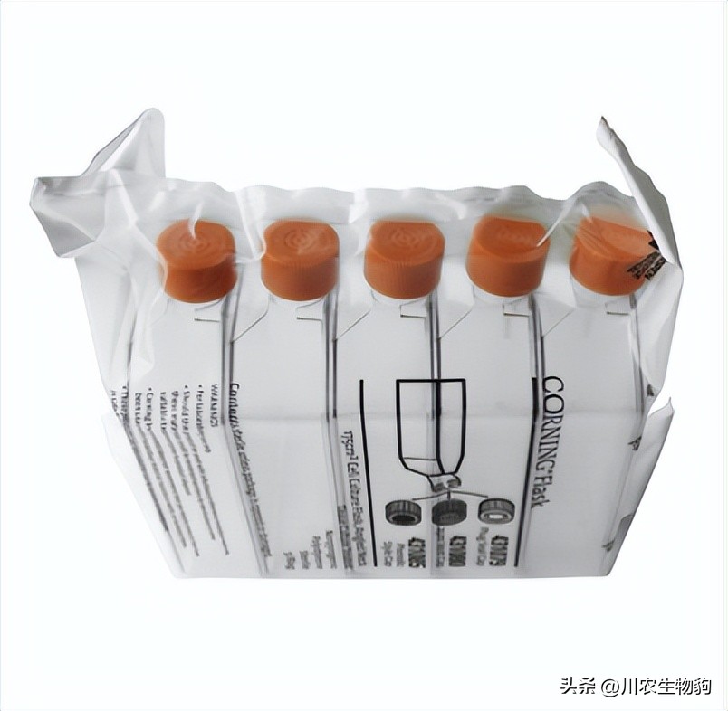 细胞培养基三大进口品牌,细胞培养耗材十大品牌