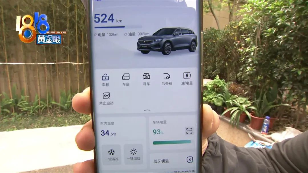 岚图小电瓶亏电是什么原因,岚图小电瓶如何充电