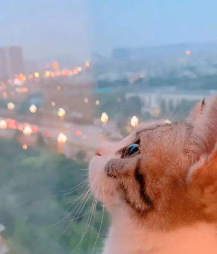 微信个性签名短句搞笑,适合做微信签名的简短句子