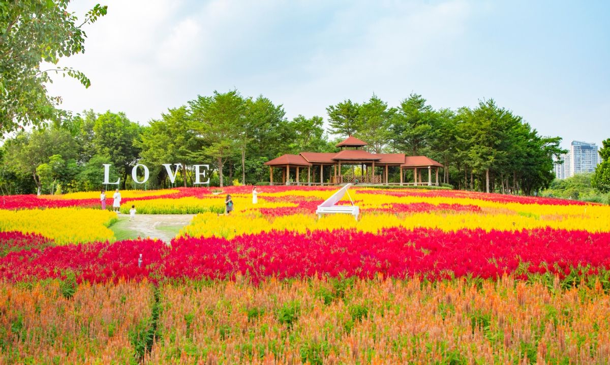 联手国贸地产！园博苑开启生活新篇章