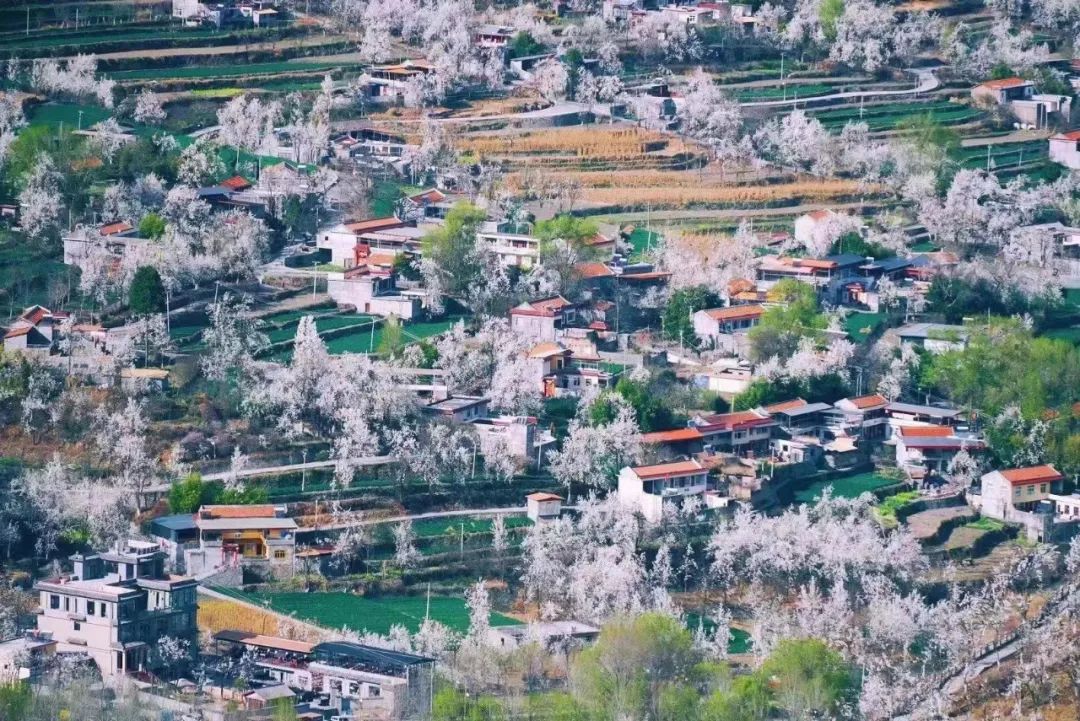 三月机票最便宜性价比最高的旅游,机票最便宜的旅游地7月