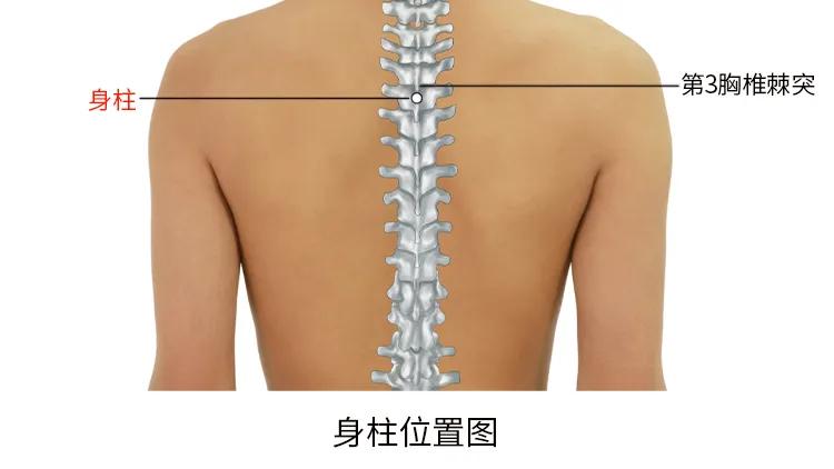 怎样按穴使孩子长高,想长高按穴位