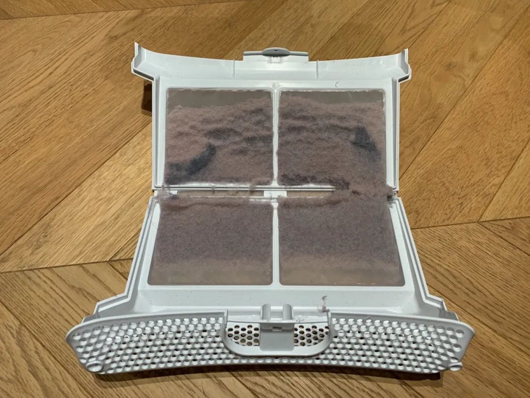 接下去3个月我家它存在感最强