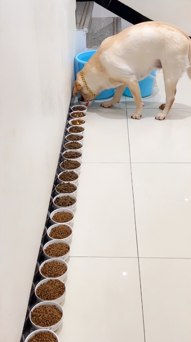 58岁奶奶花6块钱为孙子烫发,奶奶嫌理发太贵给孙子烫卷发