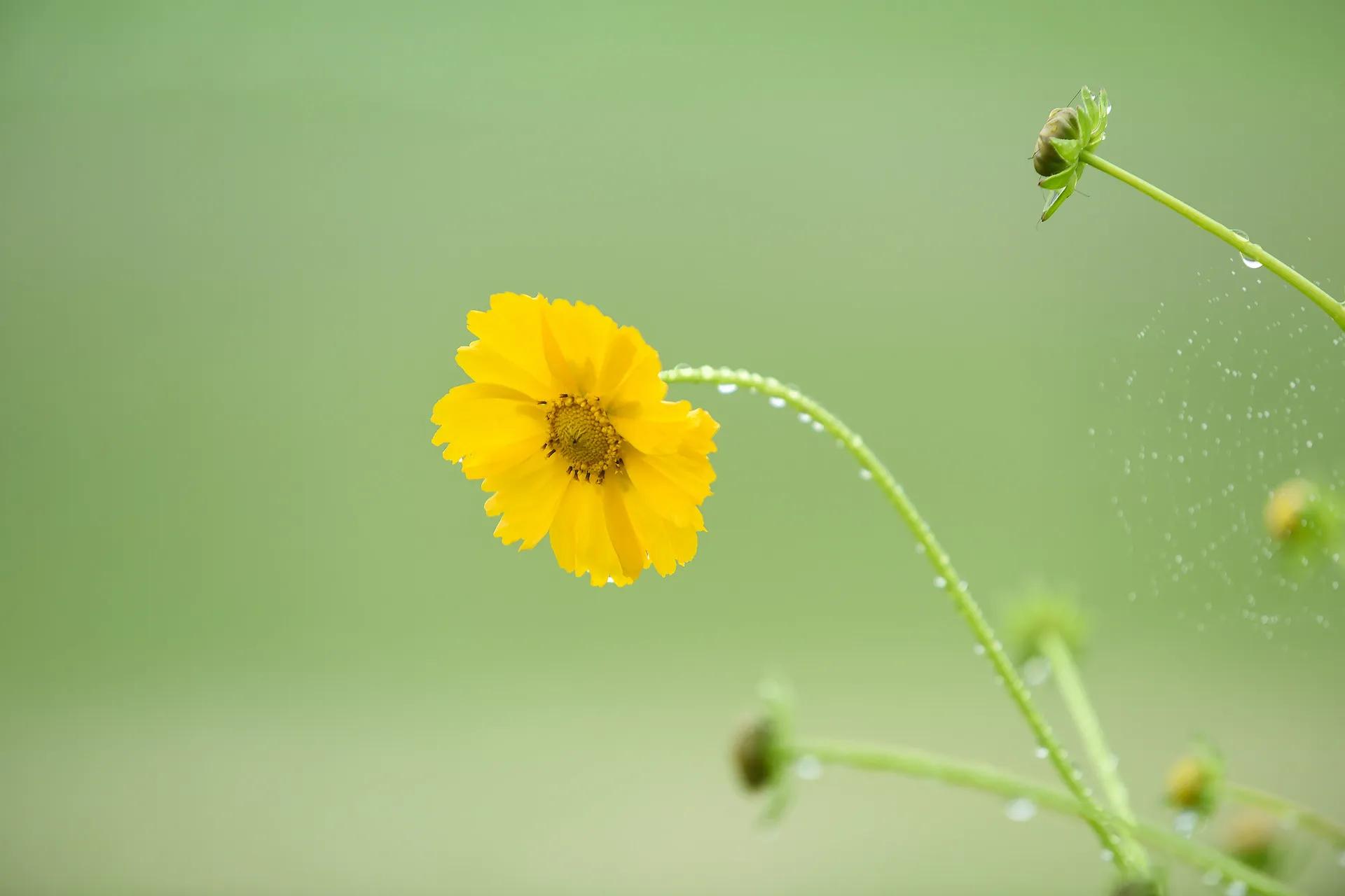 今后不要再问别人“我这个人怎么样”