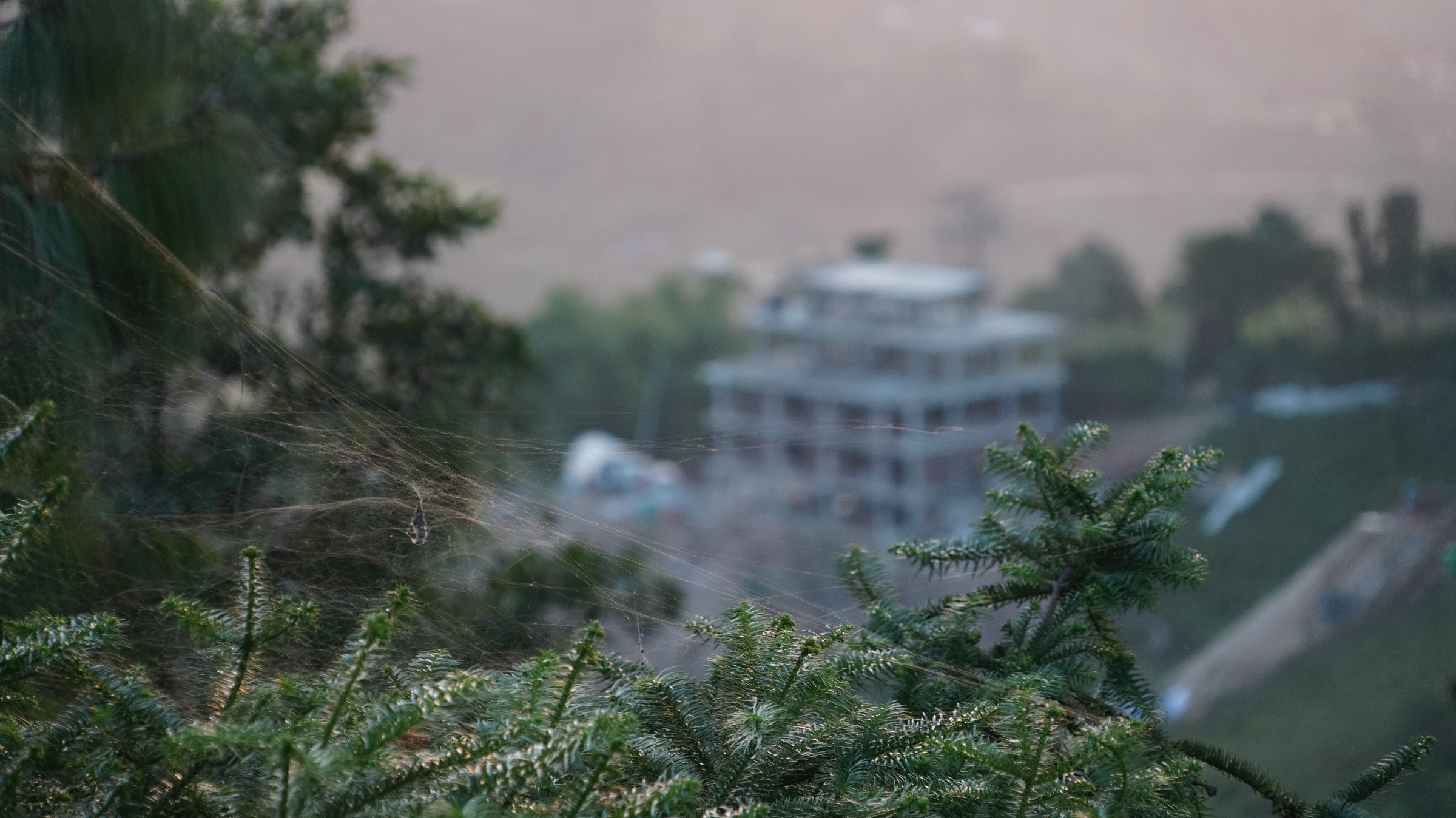 云中鹤游学,云中鹤户外