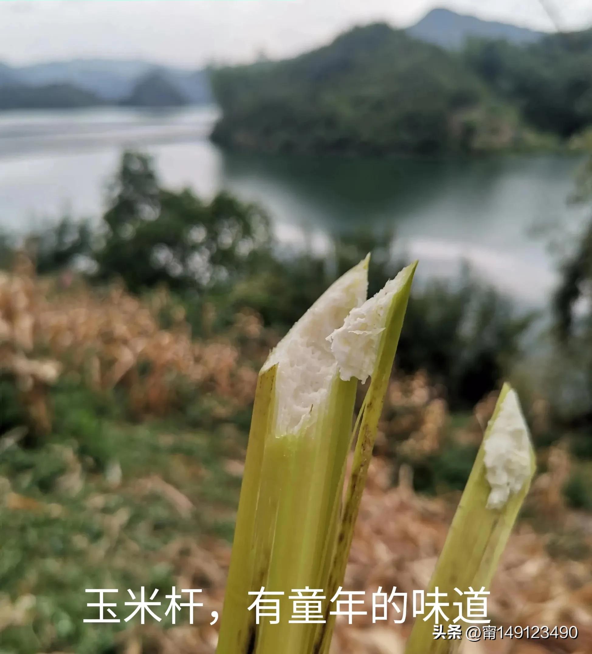 岩滩水电站建设画面,岩滩水电站历史图片