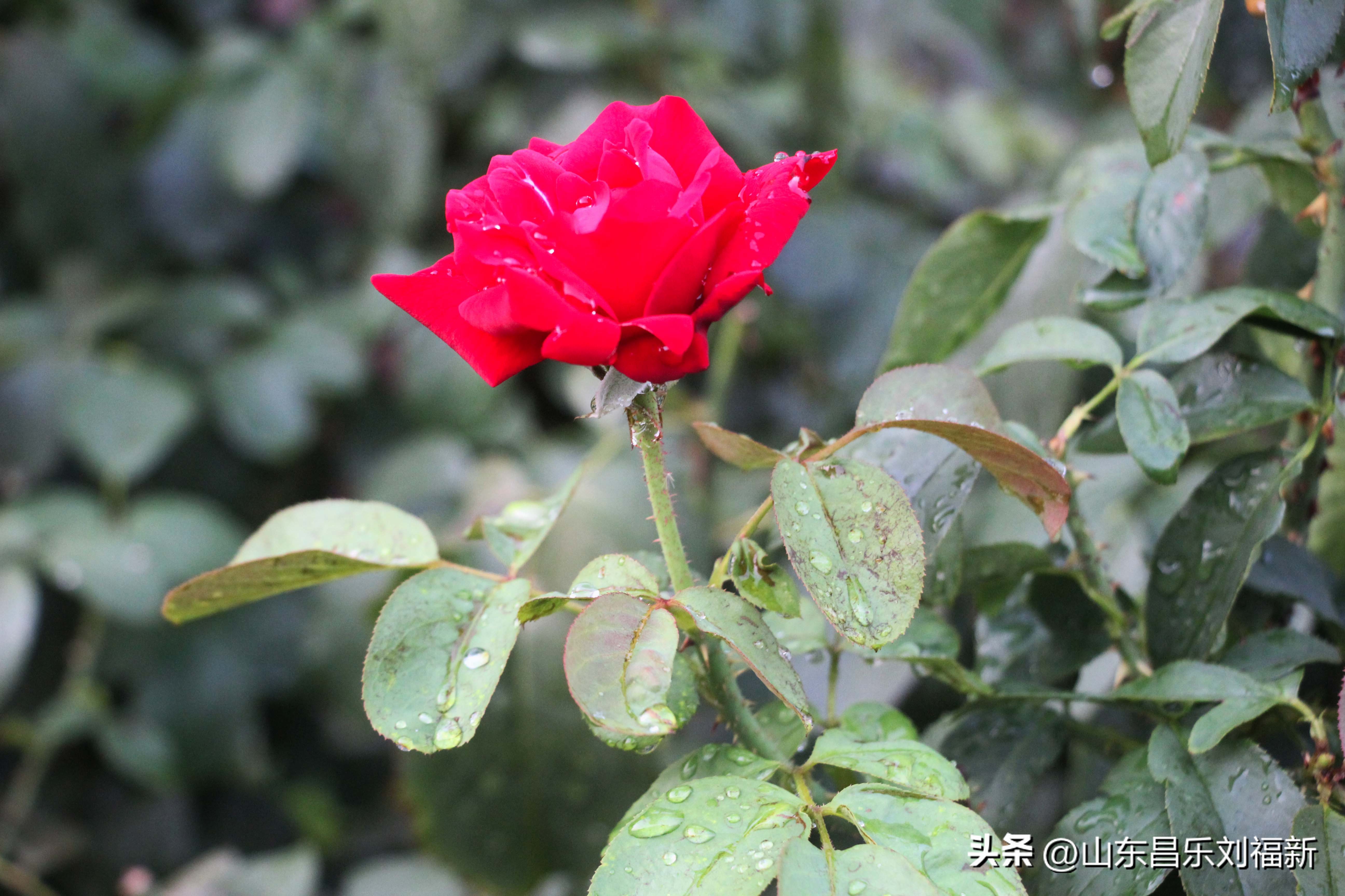 2023年8月20日有雨吗,2021年8月19日有没有下雨
