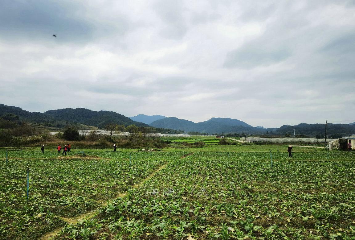 从化山清水秀,从化最值得看古村景点