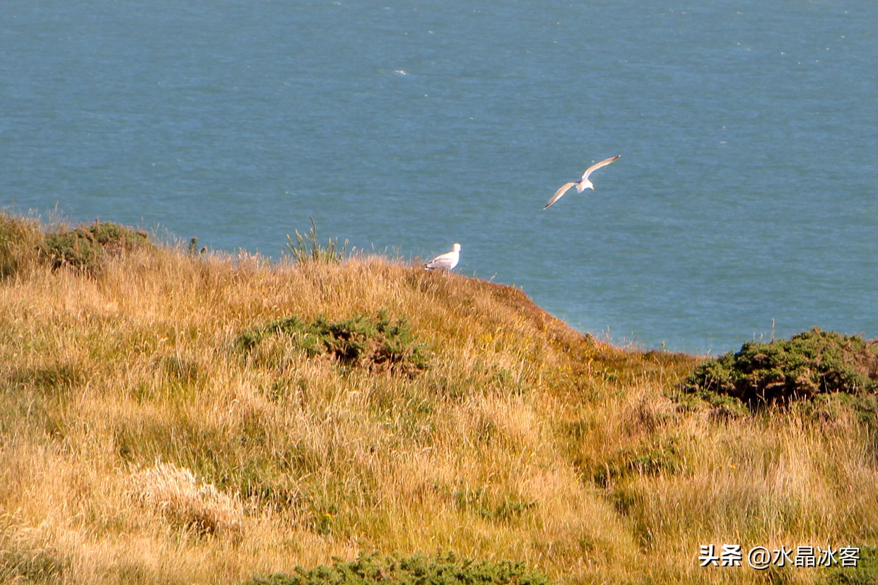 英国之行伦敦,英国英格兰伦敦之旅