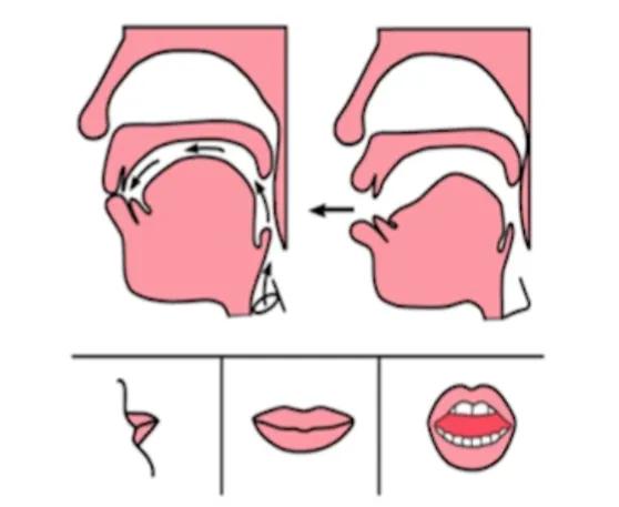 前鼻音和后鼻音的发音技巧,声母发音纠正全集
