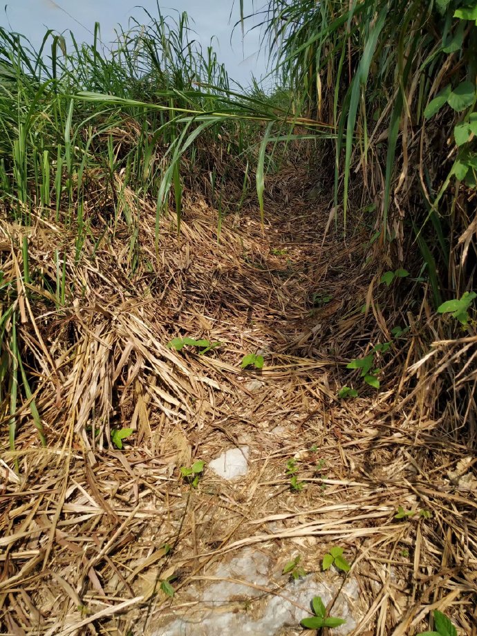 郴乐古道之水头江宜乐古道--广东省乐昌市庆云镇
