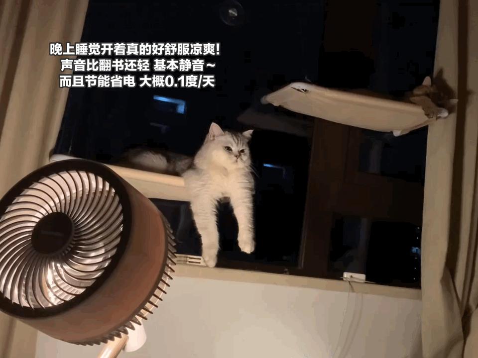 空气循环扇与普通风扇哪个更实用,空气循环扇真的比风扇好吗