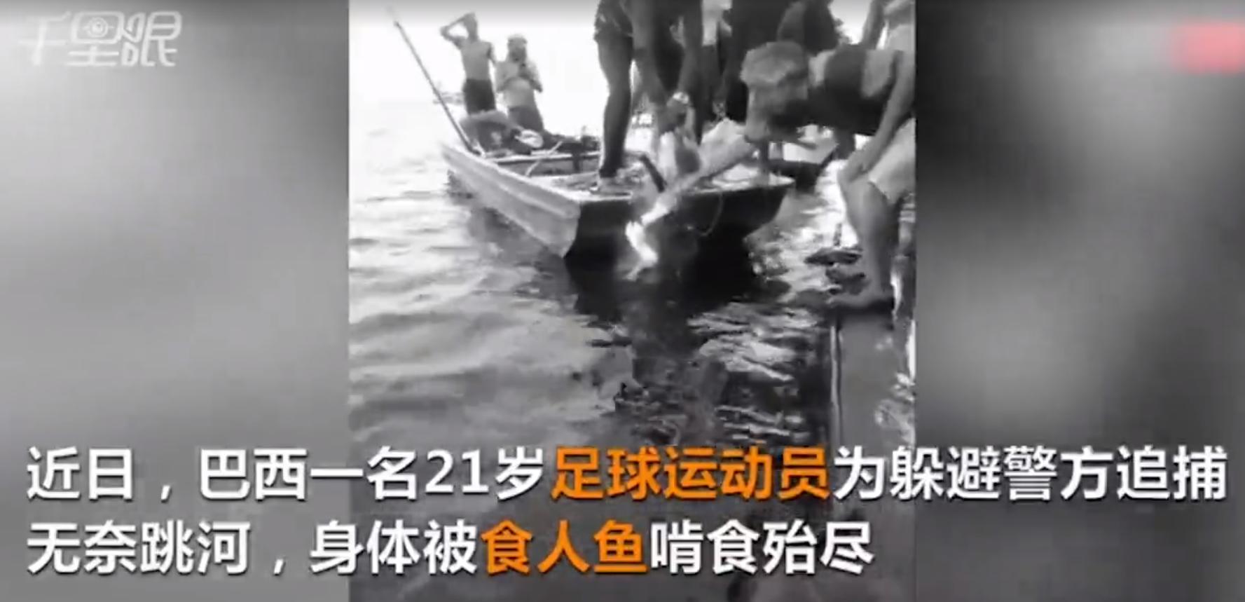 巴西一球员遭食人鱼啃食,巴西球员被食人鱼吃剩骨架
