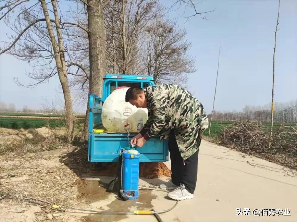 鍐滆嵂浠锋牸鏆磋穼,鍐滆嵂浠锋牸鎸佺画涓嬭穼