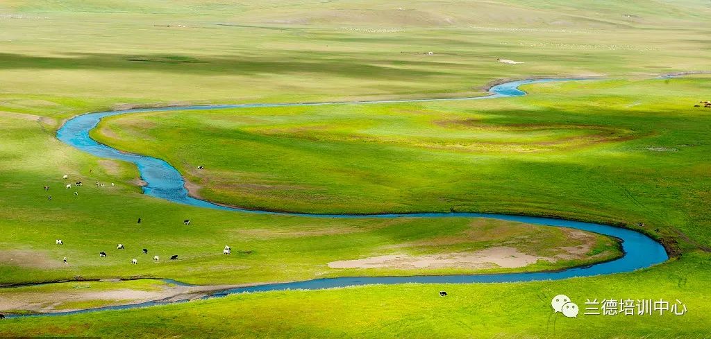 内蒙古五大任务学习心得,内蒙古公开培训总结