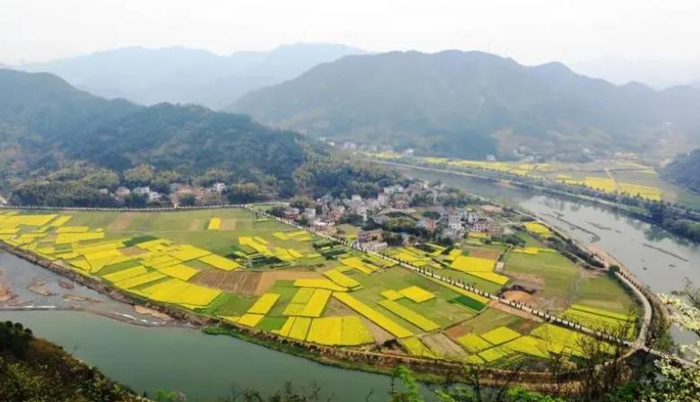 浙江水塘抽干发现宫殿,水潭被村民抽干后惊现千年宫殿