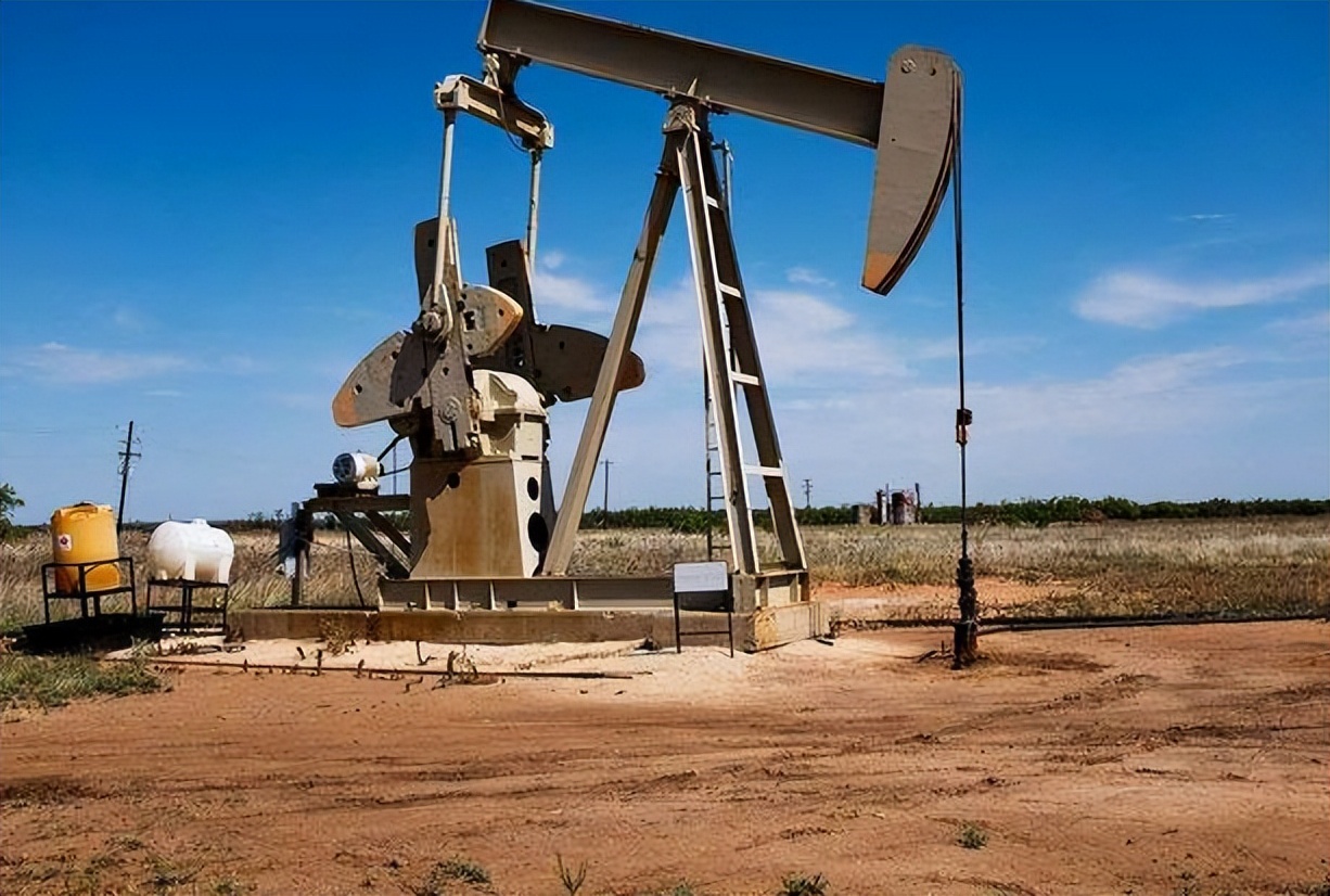 李西莉,李西莉个人资料