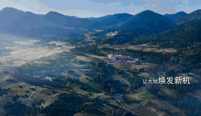 【可靠好司机】崔旭：当教练更有成就感