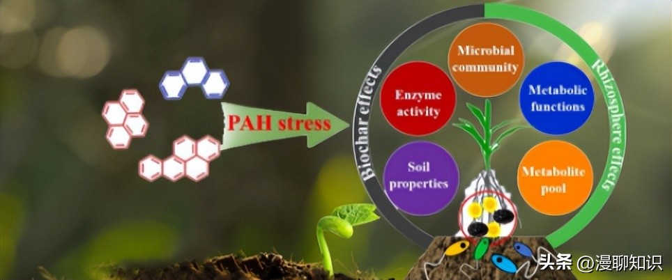 多环芳香烃致癌吗,多环芳烃类对人体有何危害