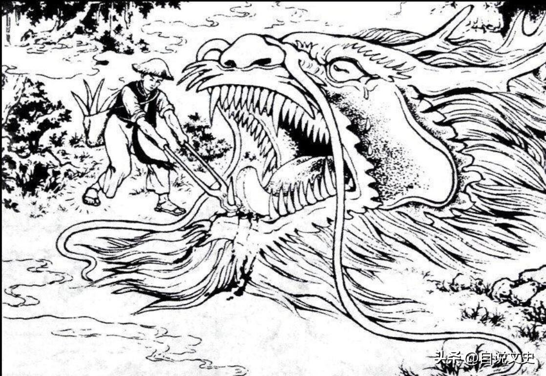 分享自己的经验体会,分享自己的经验和故事