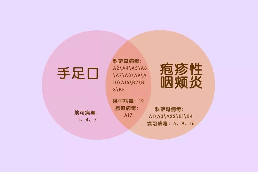 手足口病防治知识宣传手抄报,关于手足口病的知识以及防治