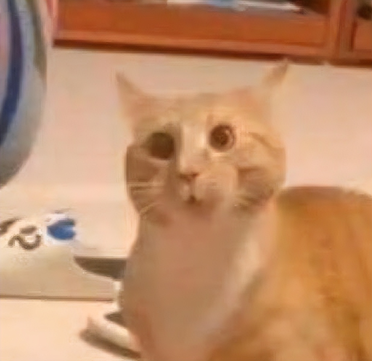 果然,ChatGPT还是被拿去搞黄色了...