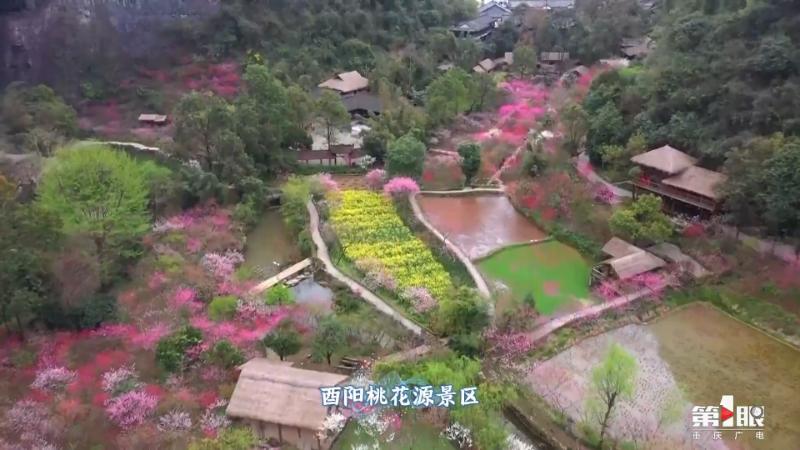 重庆游长江三峡的体验,重庆旅游攻略精彩瞬间记录