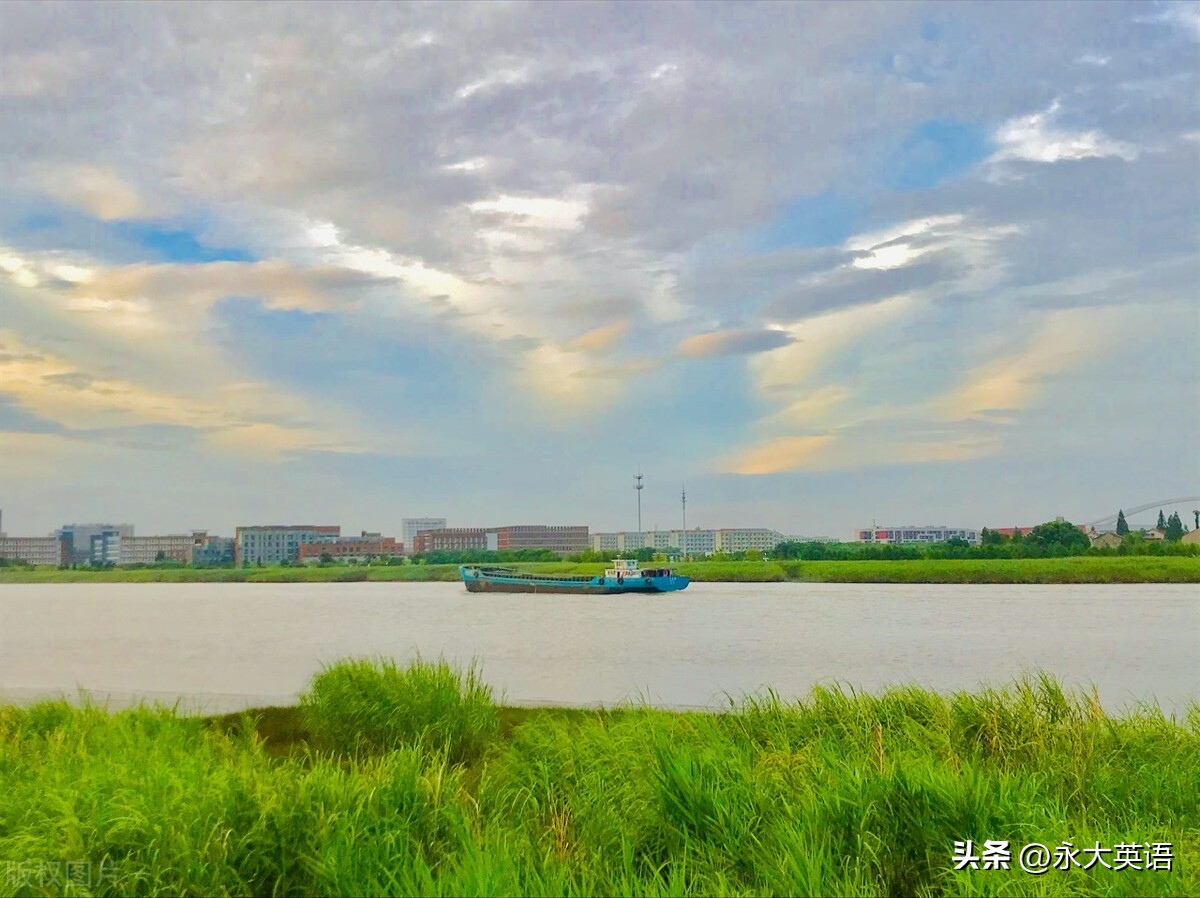 语言的中枢神经机制,语言的神经生理机制