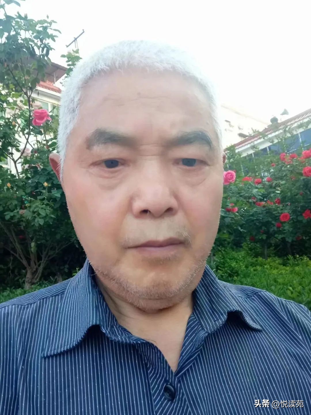 张富群河南,张富群简介