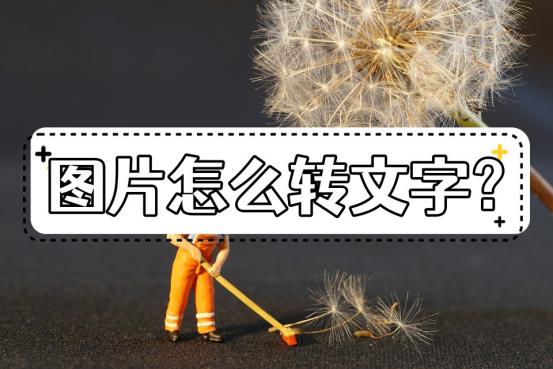 华为手机图片转文字最简单方法,怎么把图片文字转成电子文档