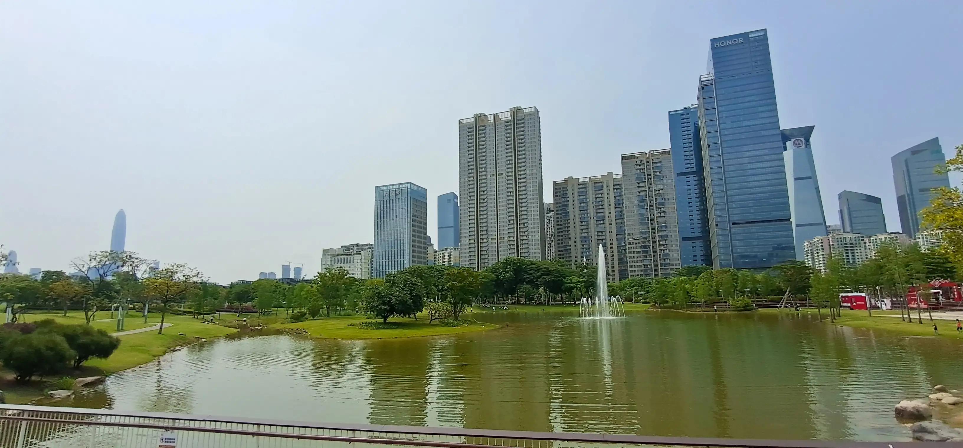 深圳荔枝公园相亲角,深圳福田荔枝公园路线