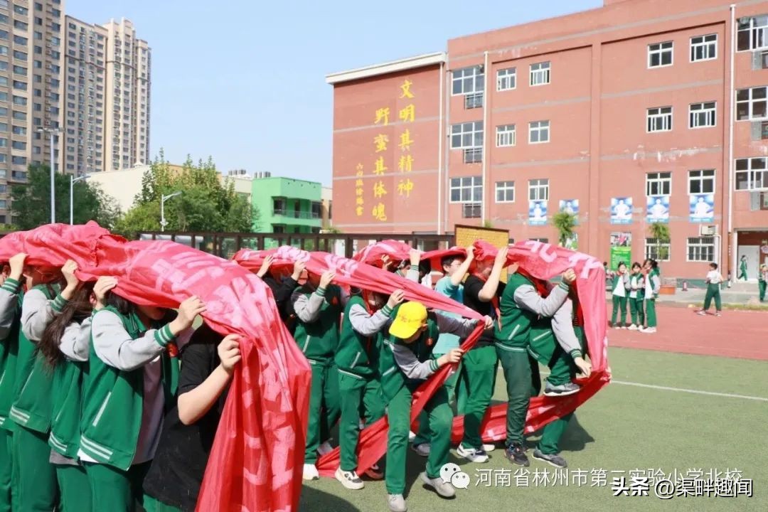 【二实小北校】七彩周记｜一路春暖花开