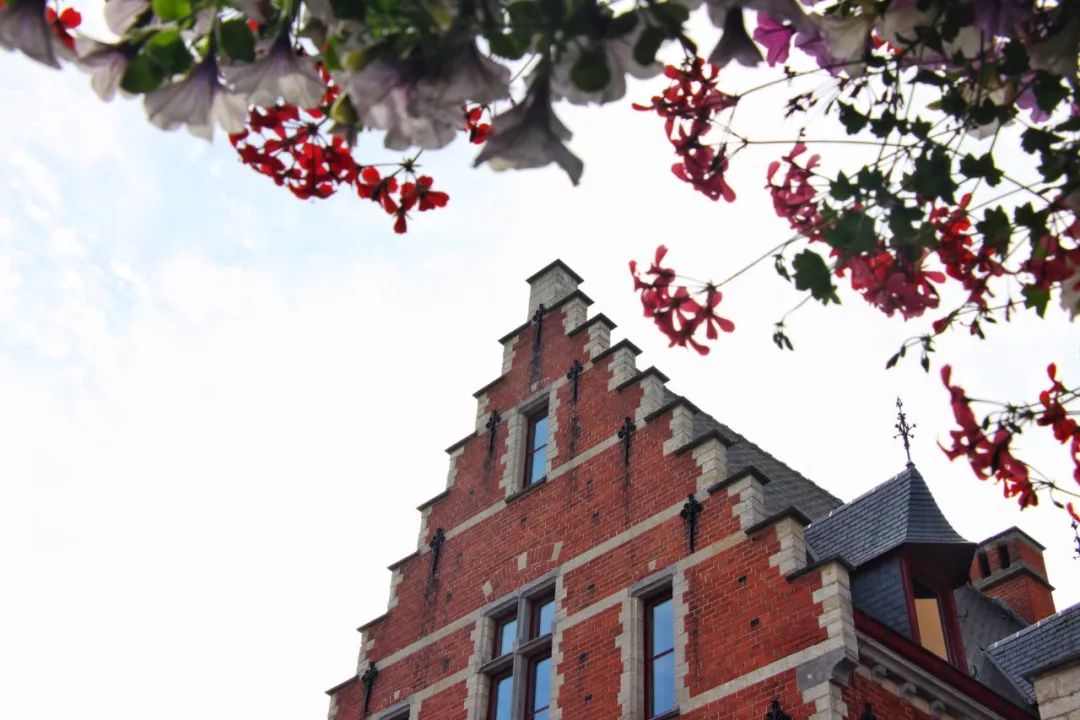 开车去欧洲第25集：同性婚姻、安乐死合法的西欧小国，了解一下？