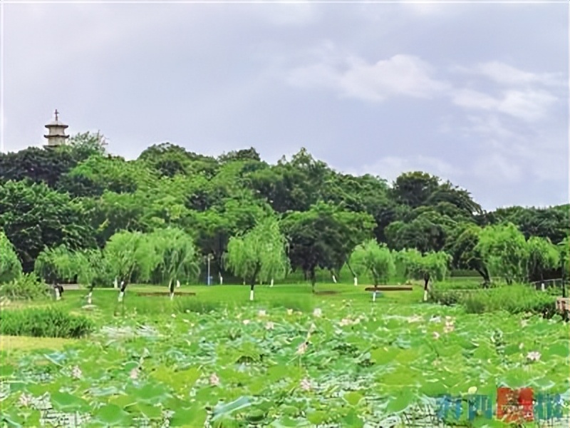 春暖花开正是赏花好季节,云上赏花繁花绚烂惊艳了整个夏天