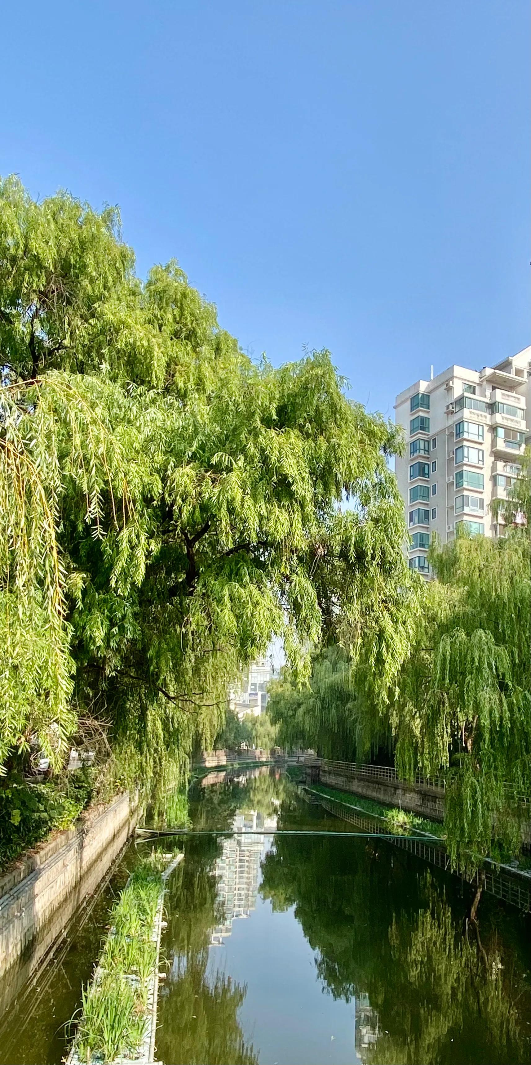 我爱我家我爱祖国诗歌,我爱我家我爱我的祖国