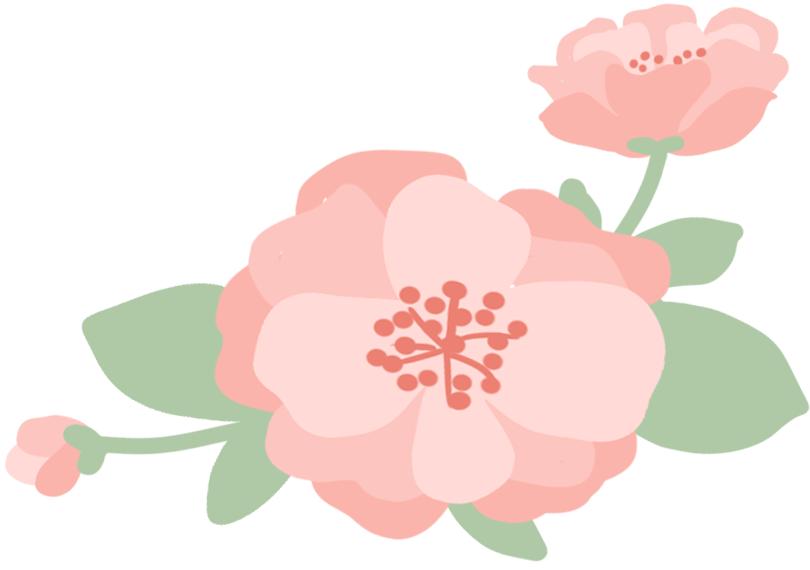 城关区520结婚预约,520登记结婚预约满了怎么办