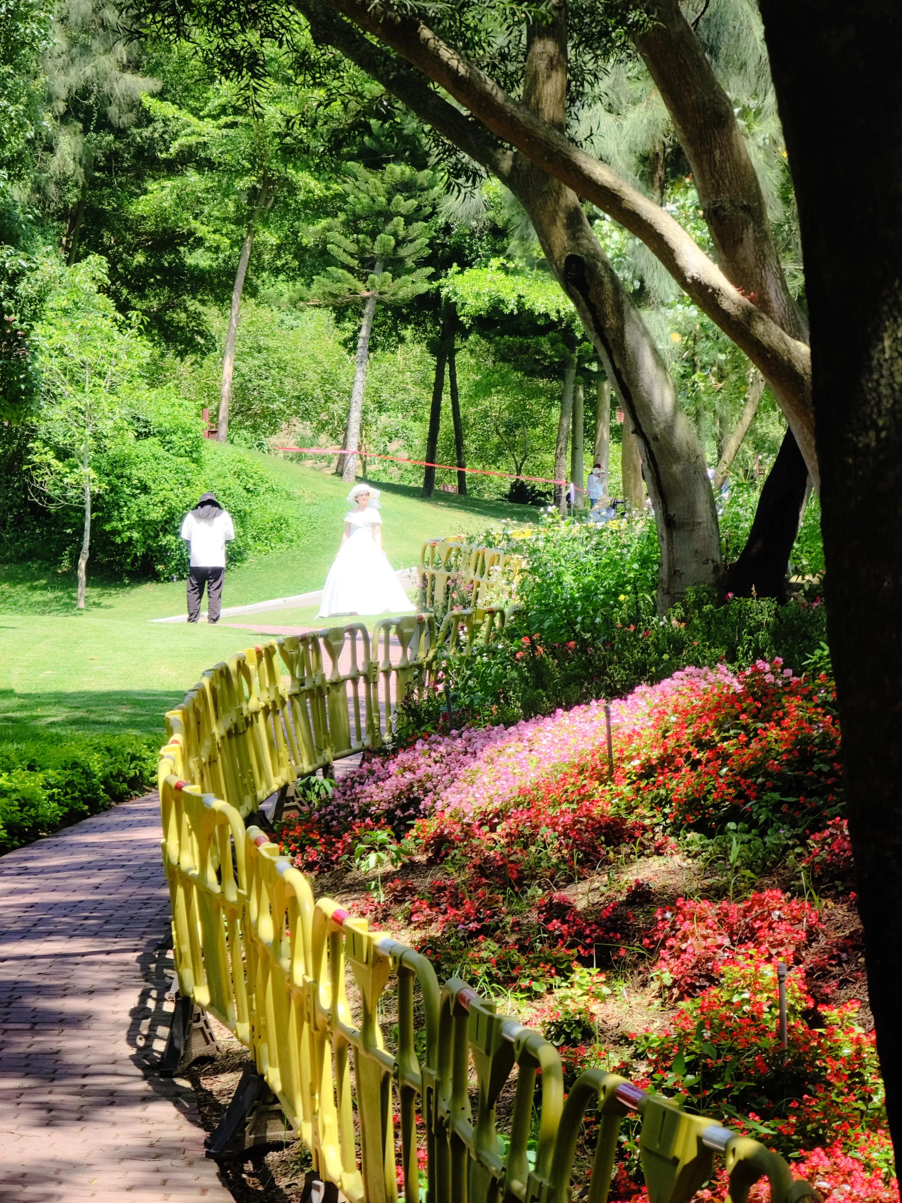 厦门六月微笑口腔靠谱吗,厦门六月能下海吗