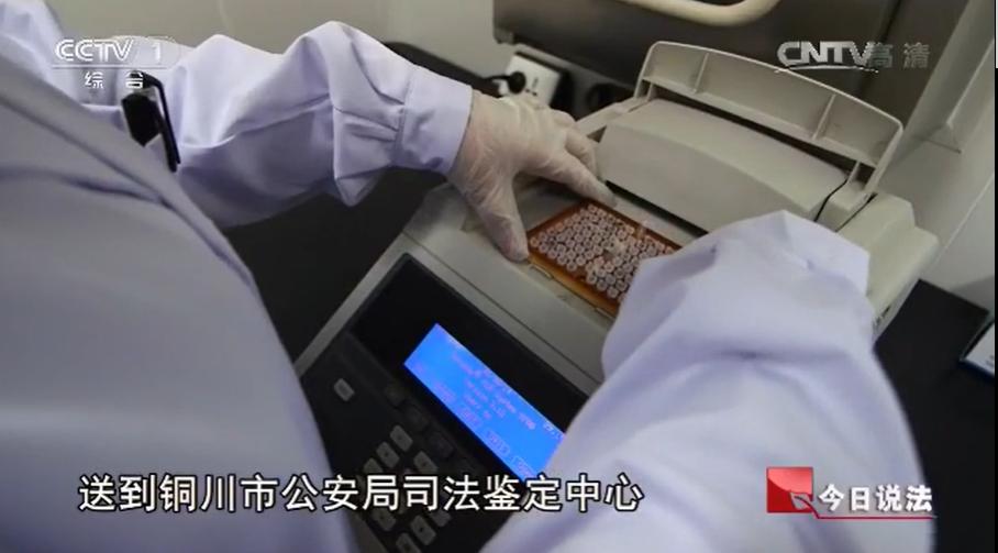 独居女子被杀后续,独居寡妇的真实事件