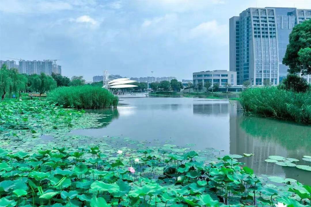 全维改善,全维改善伟星诚园