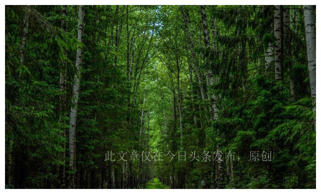 看哭了!治人财两空,不治遗憾终生!河南父亲查出重病,放弃治疗